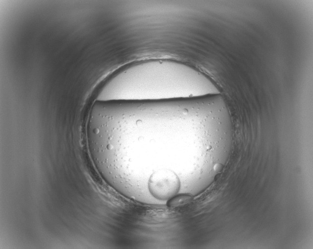 X0000066090351200603101009