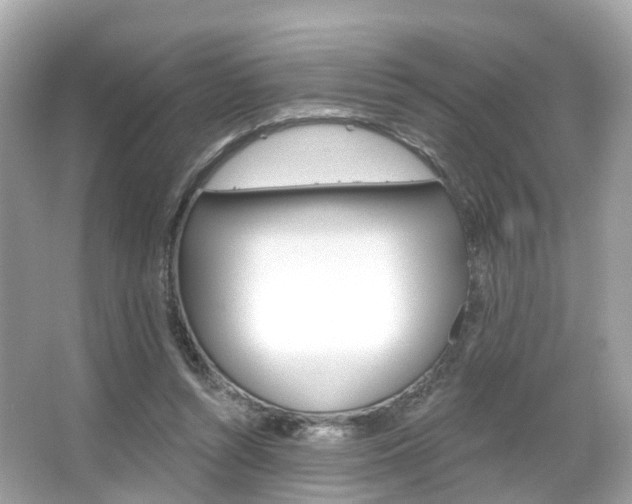 X0000066090352200603101009