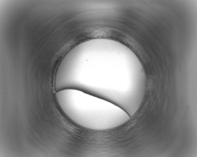 X0000066090353200603101009