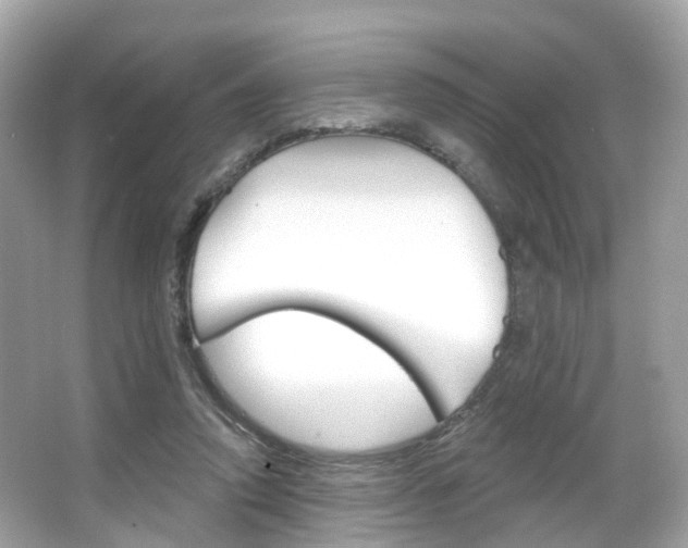 X0000066090354200603101009