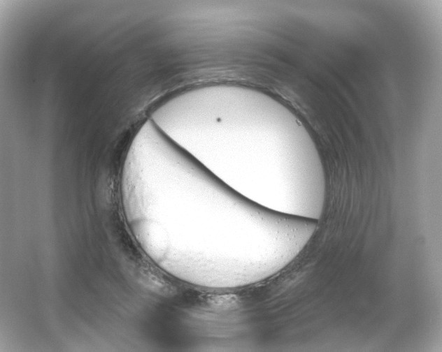 X0000066090355200603101009