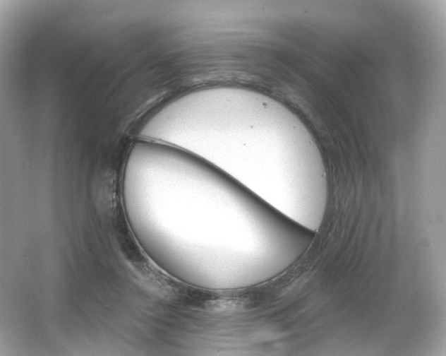 X0000066090356200603101009