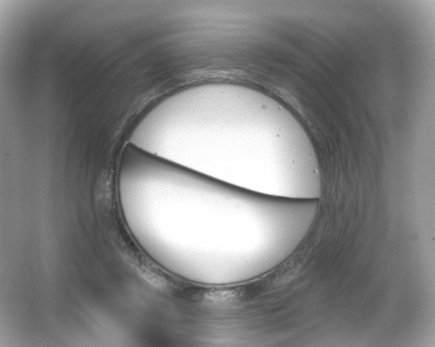 X0000066090357200603101009