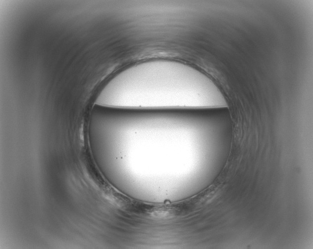 X0000066090358200603101009