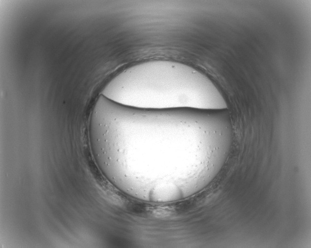 X0000066090359200603101009