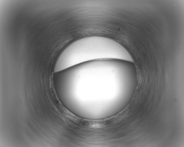 X0000066090360200603101009