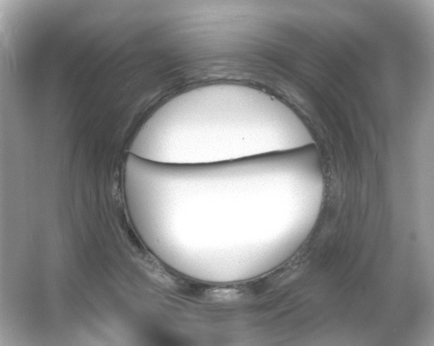 X0000066090361200603101009