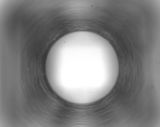 X0000066090362200603101009