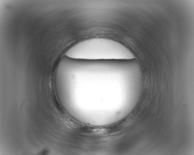 X0000066090363200603101009