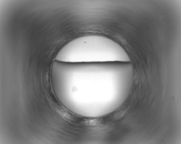 X0000066090365200603101009