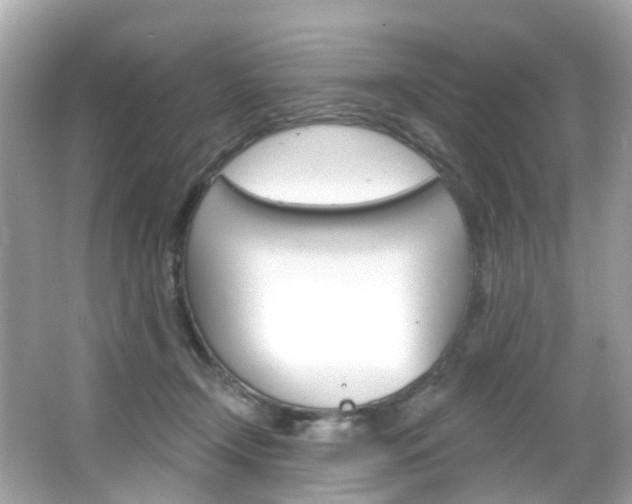 X0000066090366200603101009