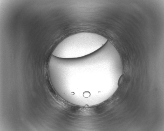 X0000066090367200603101009