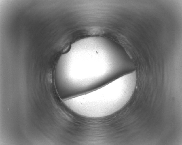 X0000066090368200603101009