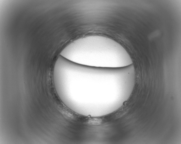 X0000066090369200603101009