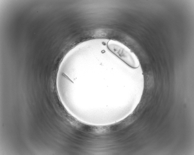 X0000066090370200603101009