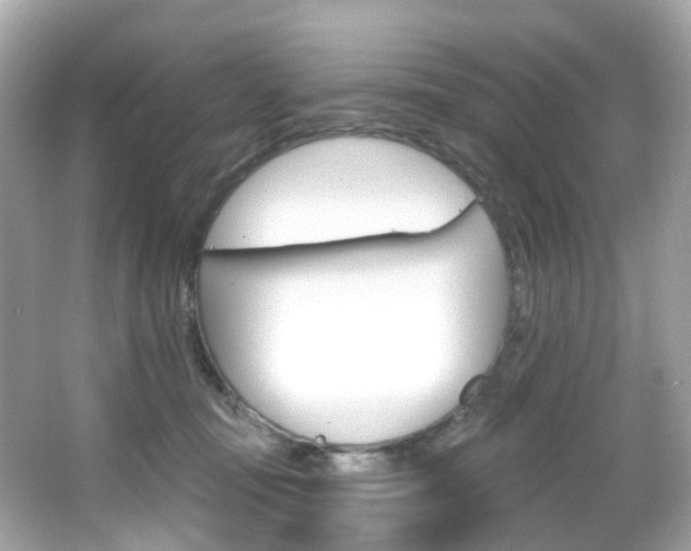 X0000066090371200603101009