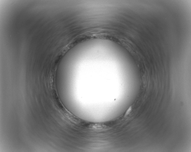 X0000066090372200603101009