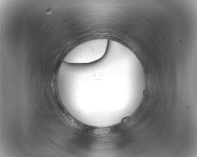 X0000066090373200603101009