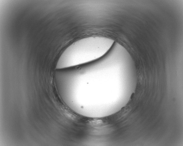 X0000066090374200603101009