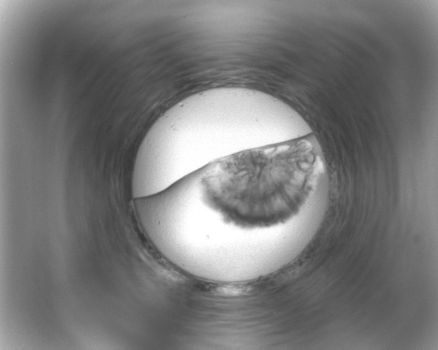 X0000066090375200603101009