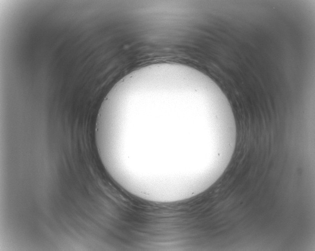 X0000066090376200603101009