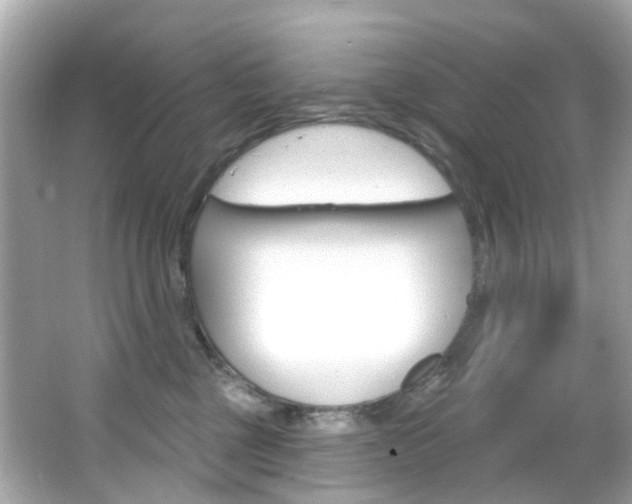 X0000066090377200603101009