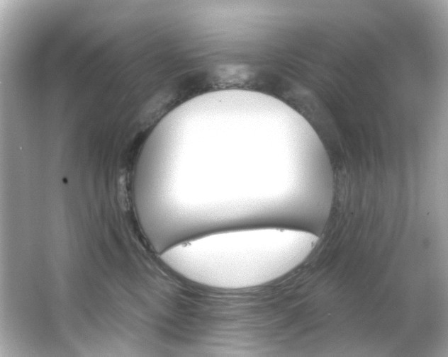 X0000066090378200603101009