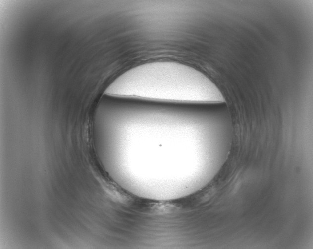 X0000066090379200603101009