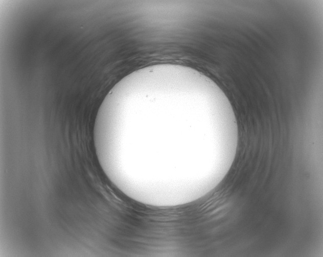 X0000066090380200603101009