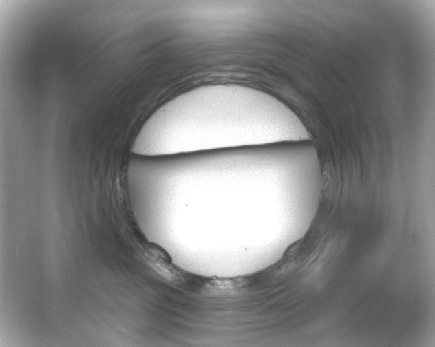 X0000066090381200603101009