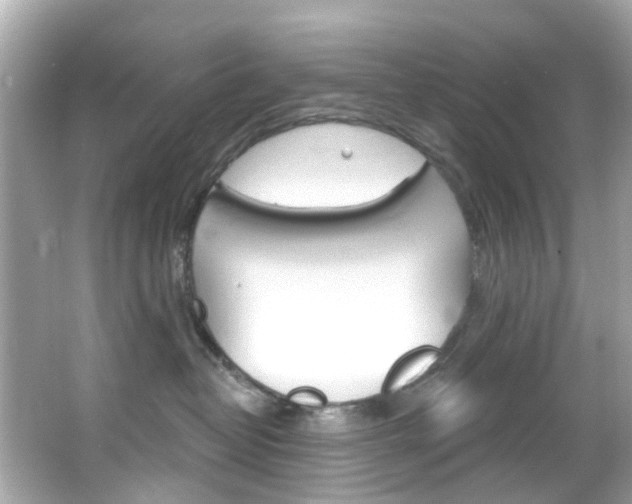 X0000066090382200603101009