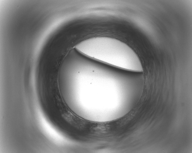 X0000066090383200603101009