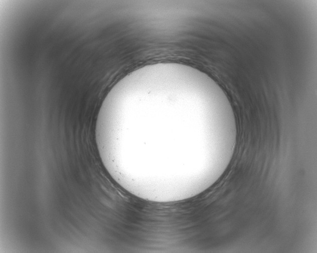 X0000066090384200603101009