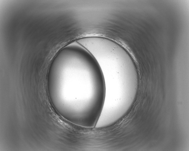 X0000066090385200603101008