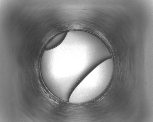 X0000066090386200603101008