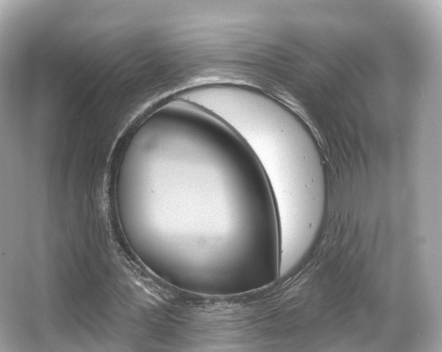 X0000066090387200603101008