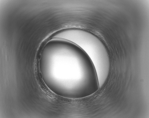 X0000066090388200603101008