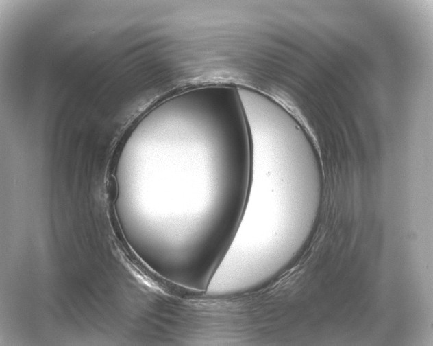 X0000066090389200603101008