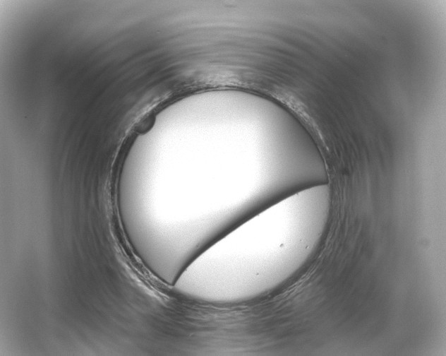 X0000066090390200603101008