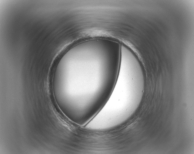 X0000066090391200603101008