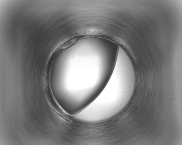 X0000066090392200603101008