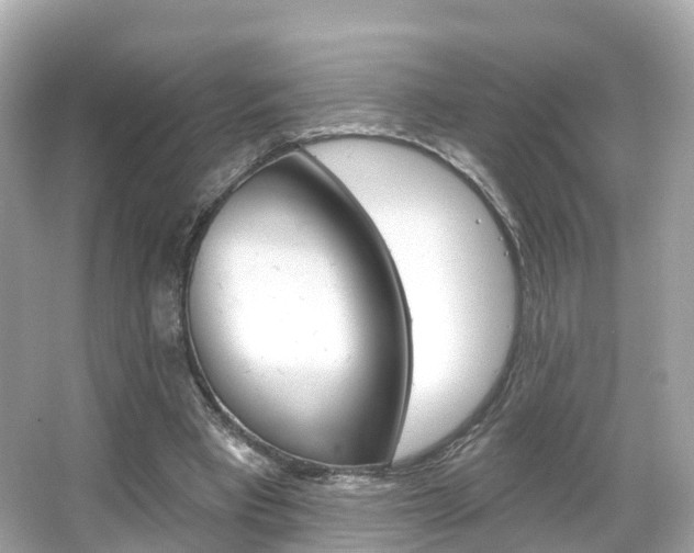 X0000066090393200603101008