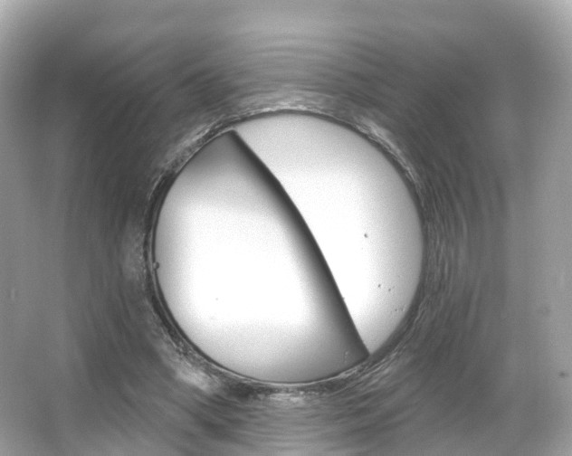 X0000066090394200603101008