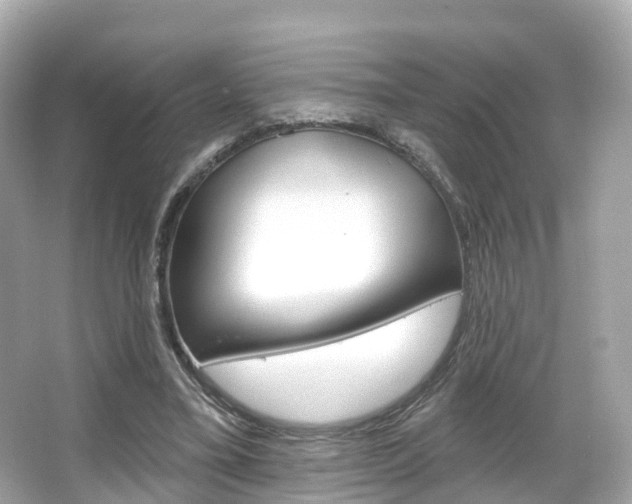 X0000066090395200603101008