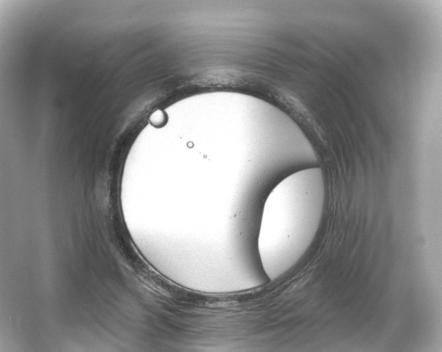 X0000066090396200603101008