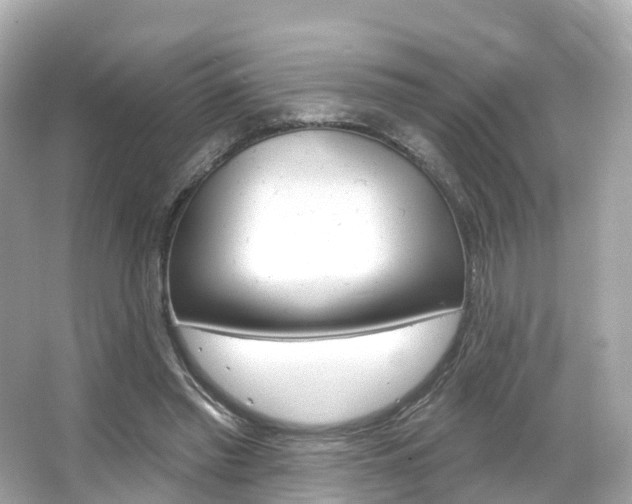 X0000066090397200603101008