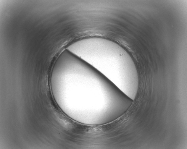 X0000066090398200603101008