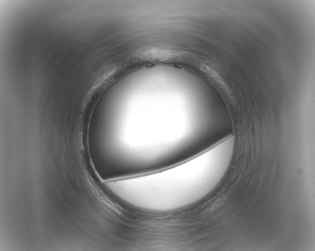 X0000066090399200603101008