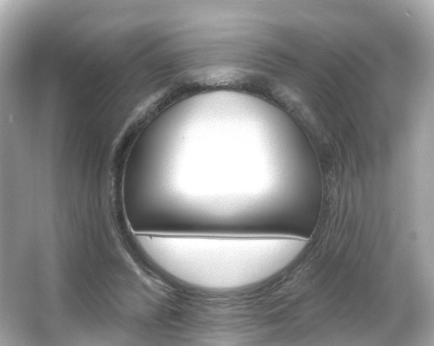 X0000066090400200603101008