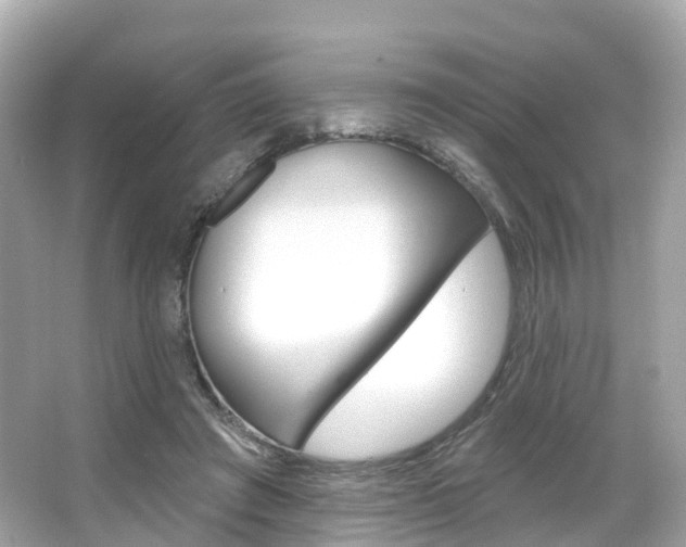 X0000066090401200603101008